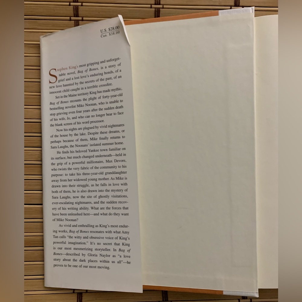 Bag of Bones Hardcover w/ Dust Jacket – First Edition Style – Stephen King - Picture 7 of 13